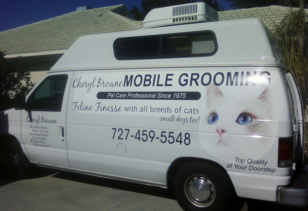 Feline Finesse Cat Grooming
